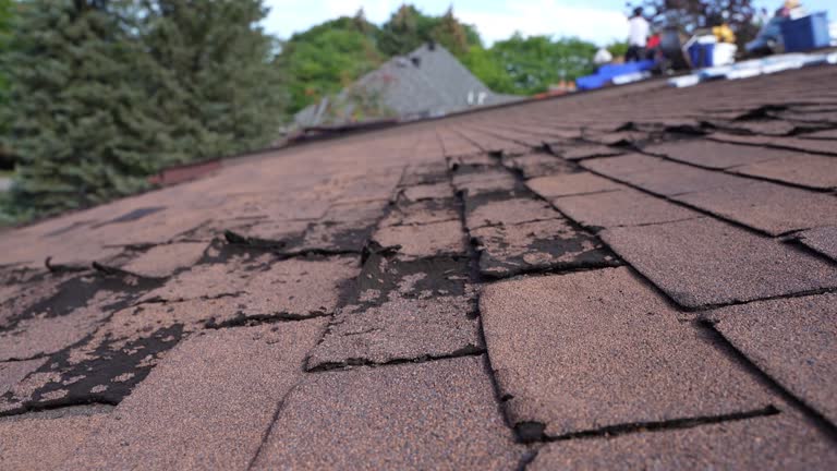 Best Roofing for New Construction  in Wayne City, IL